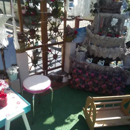 Altin Denizli (Denizli)